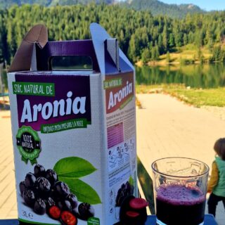 Suc Aronia 3L 100% Natural