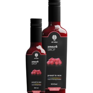 Sirop de zmeura (presat la rece)